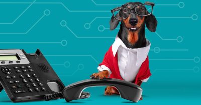 Dog using a VoIP phone