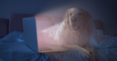 UPS to beat loadshedding and stay connected to the internet